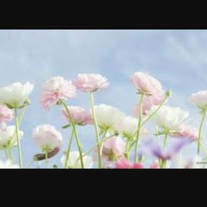 Meet your Posher, Sabrina